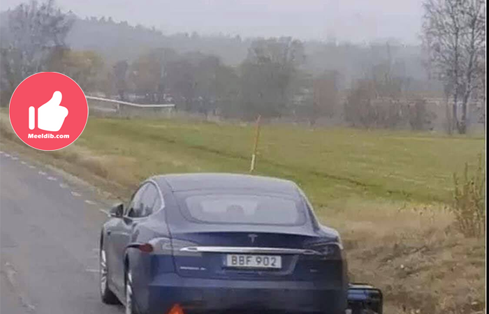 Vegan salaja liha söömas