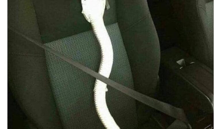 Haruldane pilt mu eksnaisest