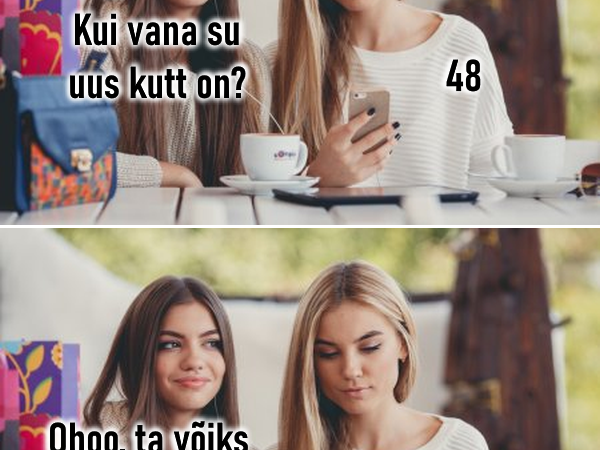 Kui vana su uus kutt on?