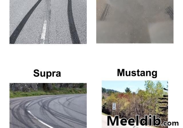Hellcat, GTR, Supra, Mustang