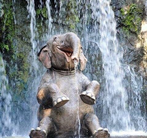 Oleks elu sama lihtne nagu kommidel. Ole lihtsalt ilus ja magus.