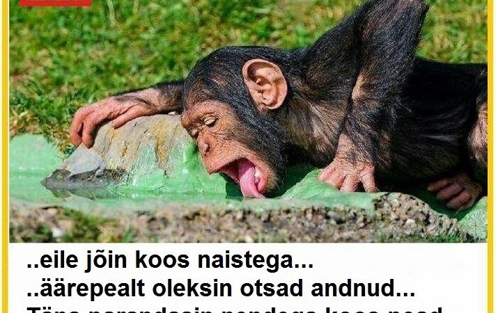 Eile jõin koos naistega