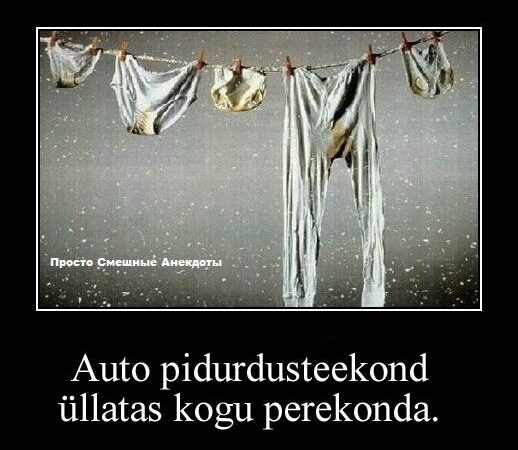 Auto pidurdusteekond üllatas kogu perekonda