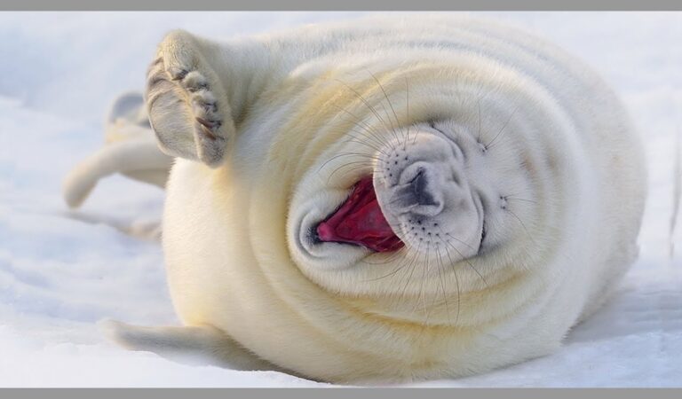 Olge rõõmsad! Täna on aasta kõige masendavam päev!