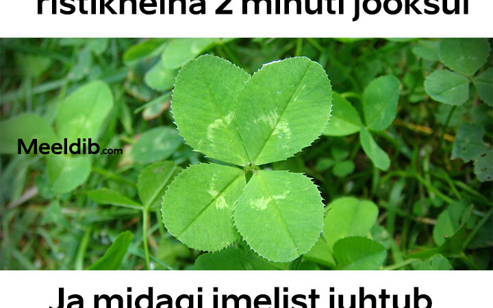 Õnnetoov ristikhein