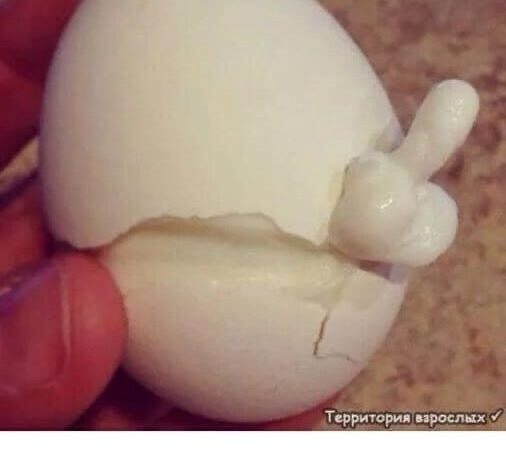 Käis läbi tulest ja veest