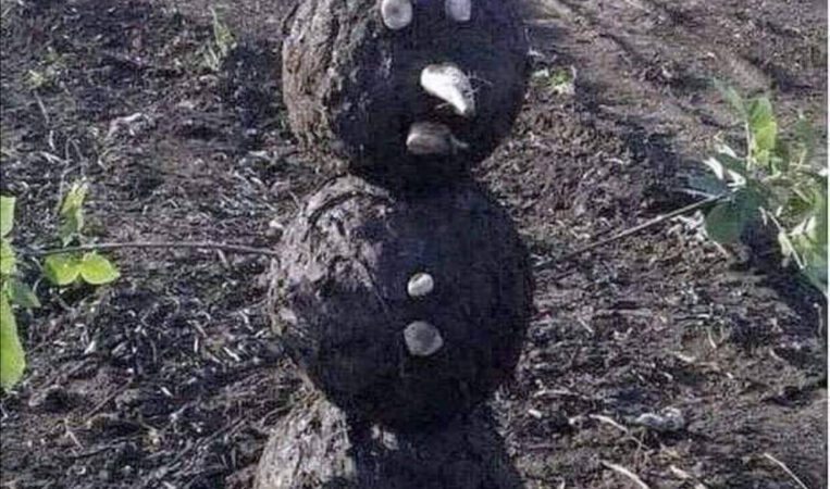 Märgi keegi, kes ootab lund ja korralikku talve