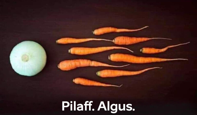 Pilaff