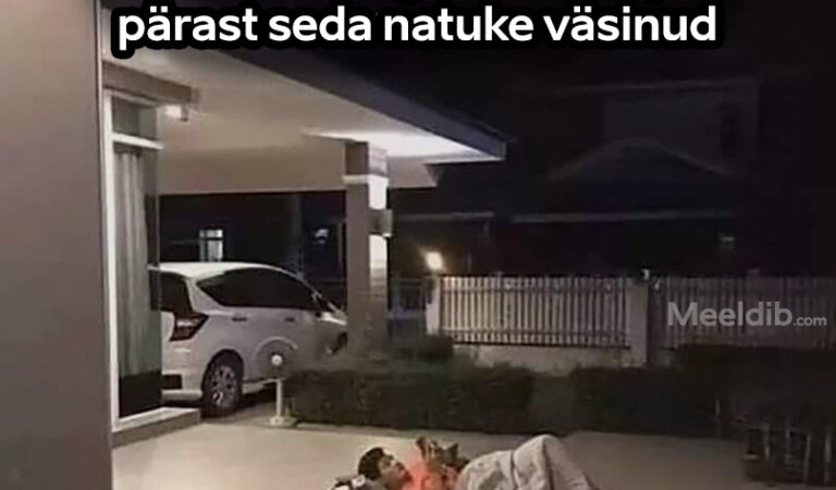 Kui võitsid naisega vaidluse