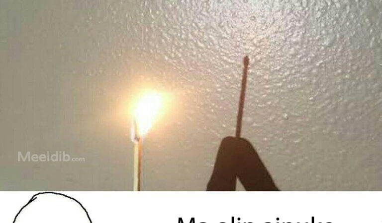 Kas teadsid, et tulel ei ole varju?