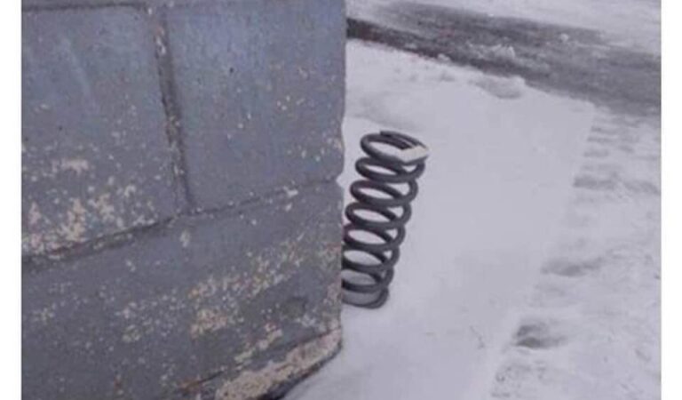 Spring is just around the corner Spring is just around the corner