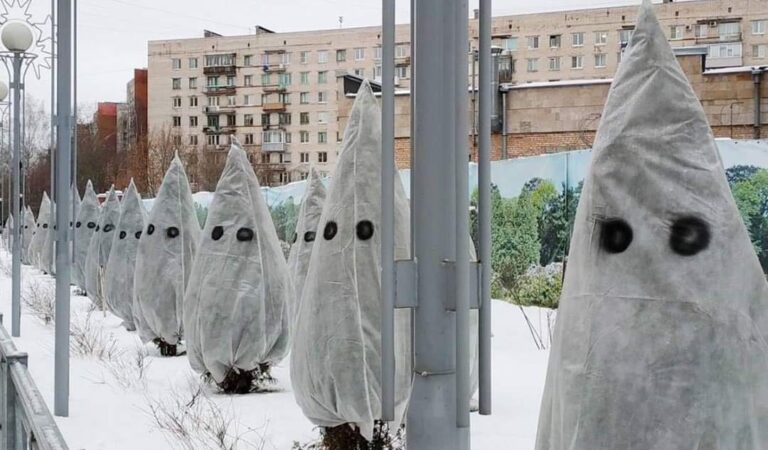 St. Peterburgis 2018a. omamoodi ilupuude katted…