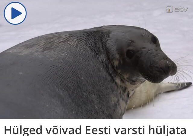 Nädala lemmikpealkiri