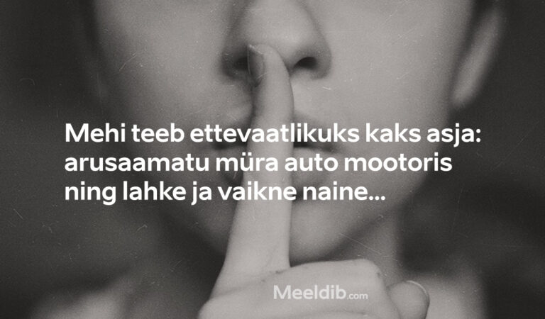 Mehi teeb ettevaatlikuks kaks asja