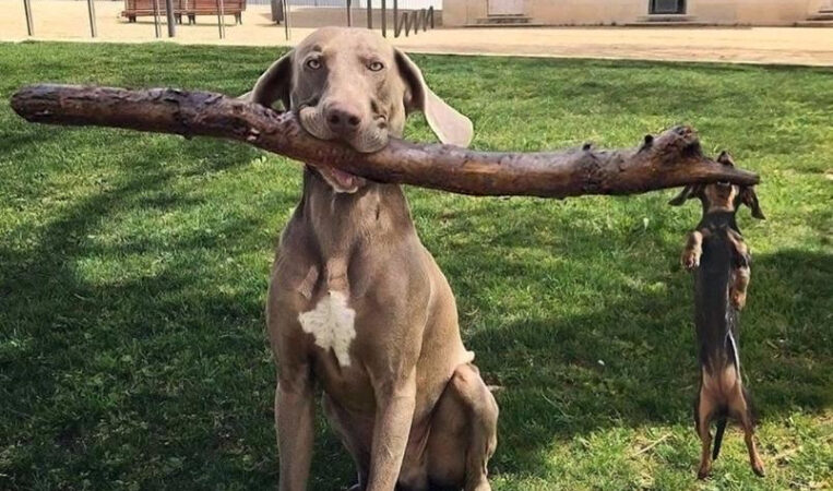 Kui hakatakse vastastikku vigu mõõtma, siis sõprus kaob