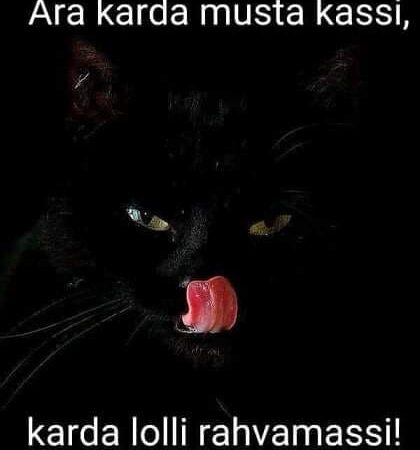 Ära karda musta kassi