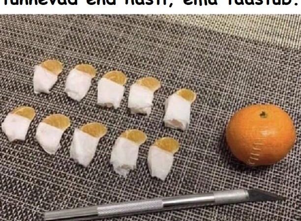 Karantiini 7-s päev