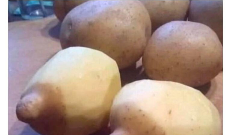 14. päev karantiinis