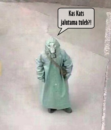 Kas Kats jalutama tuleb?!