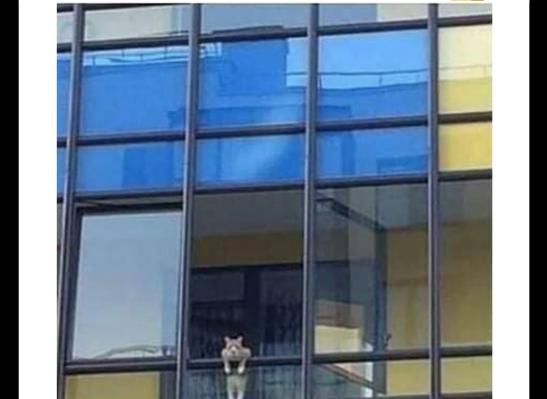 Tiiinaaa, ära siis krõbuskeid unusta!