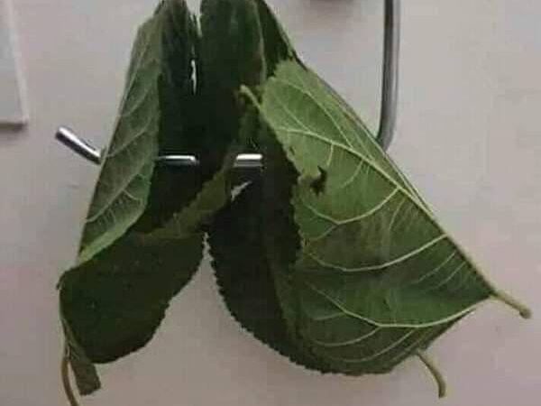 Kõigile, kel ei olnud aega osta tualettpaberit