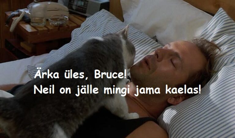 Ärka üles, Bruce!