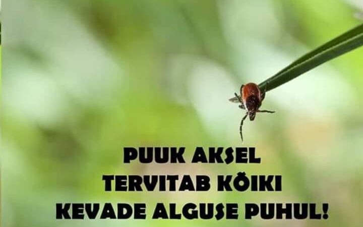 Puuk Aksel tervitab kõiki kevade alguse puhul!