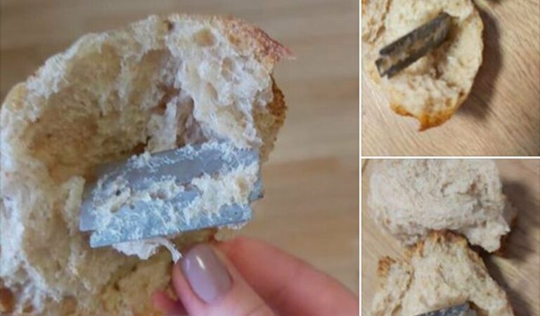 Tallinlanna leidis saia seest žiletitera!