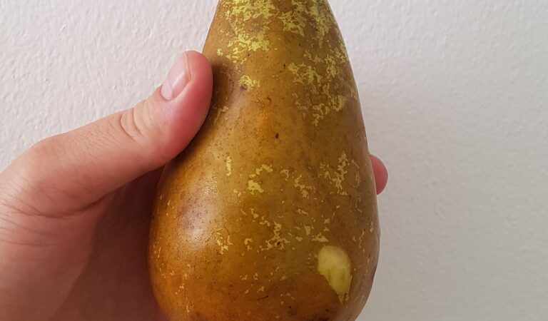 Tekkis jube tahtmine üks pirn siia panna.