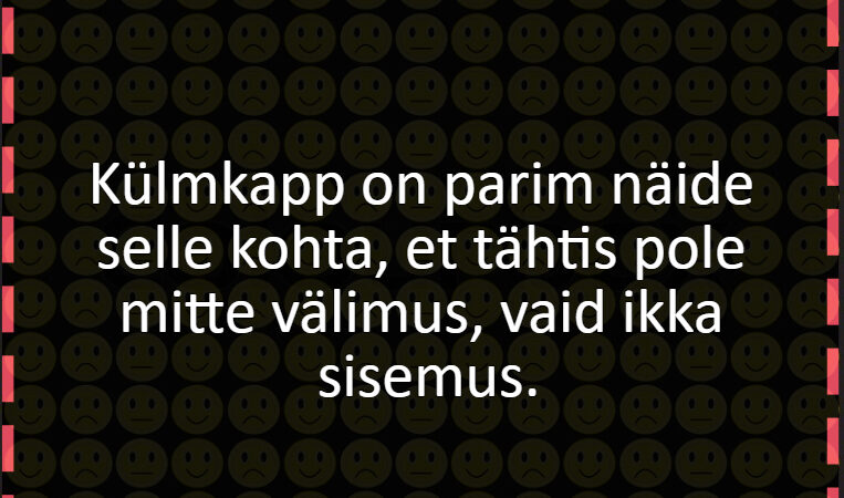 Külmkapp on parim näide selle kohta, et tähtis pole mitte välimus, vaid ikka sisemus.