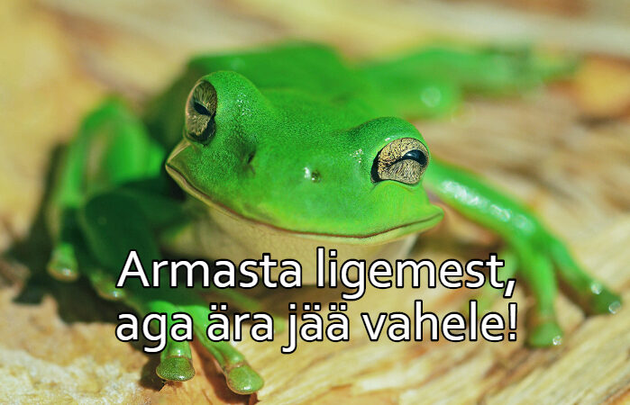 Armasta ligemest, aga ära jää vahele!