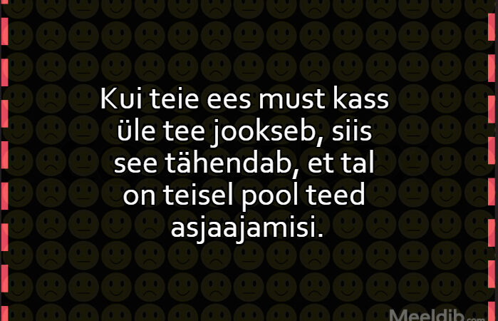 Kui teie ees must kass üle tee jookseb