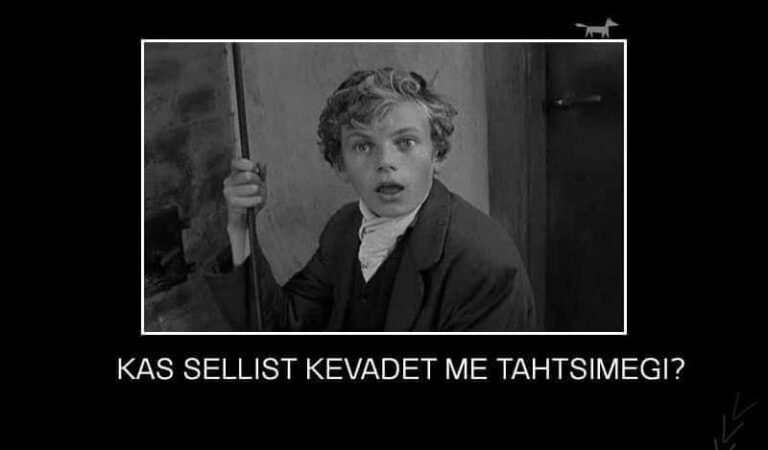 Kas sellist kevadet me tahtsimegi?