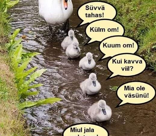 Mia ei lää teiege küll enämb ilmangi kunnigile…