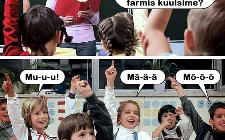 Mis hääli me eile farmis kuulsime?