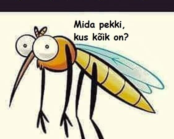 Mida pekki, kus kõik on?