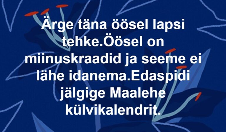 Ärge täna öösel lapsi tehke