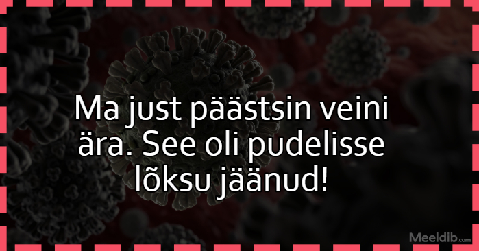 Ma just päästsin veini ära