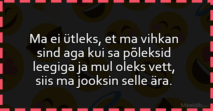 Ma ei ütleks, et ma vihkan sind