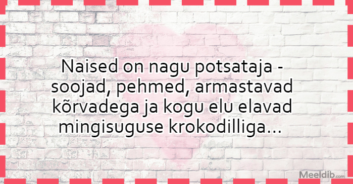 Naised on nagu potsataja