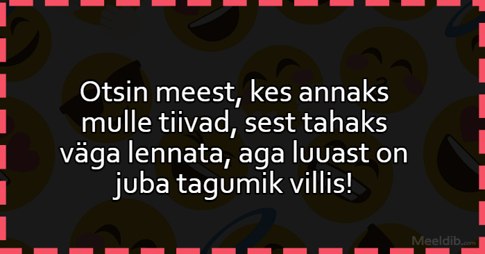 Otsin meest, kes annaks mulle tiivad