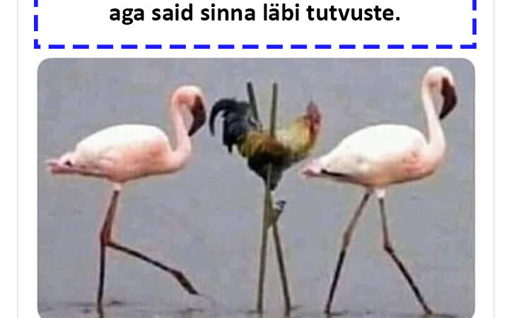 Kui sa ei kvalifitseeru oma ametipostile aga said sinna läbi tutvuste.