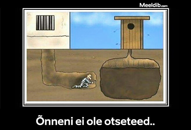Õnneni ei ole otseteed