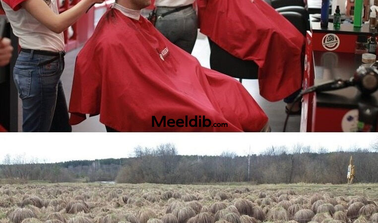 Kati, vaatasid sa,  palju kliente  järjekorras on?