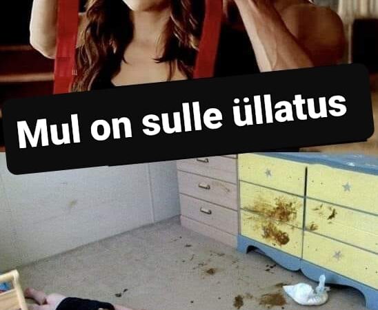 Mul on sulle üllatus