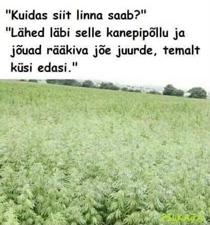Kuidas siit linna saab?