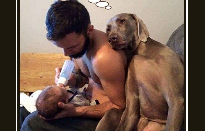 Ma ju ütlesin sulle