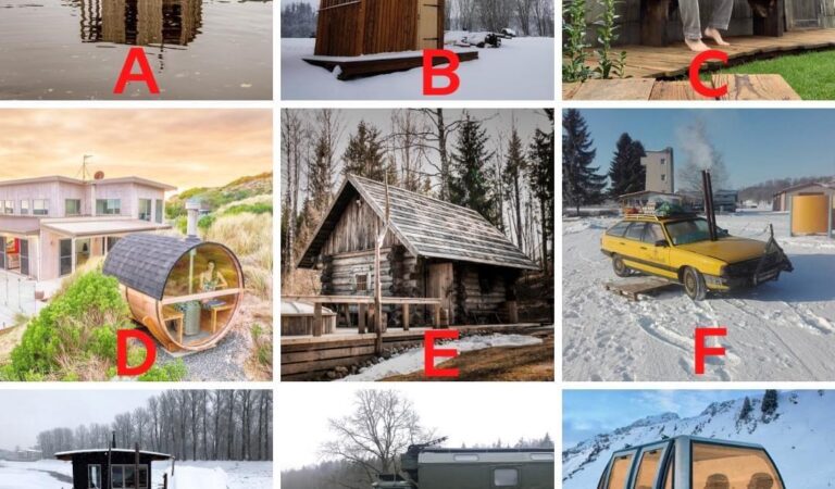 Kui sa peaksid karantiini üle elama ühes nendes Eesti saunades, siis millise sa valiksid?