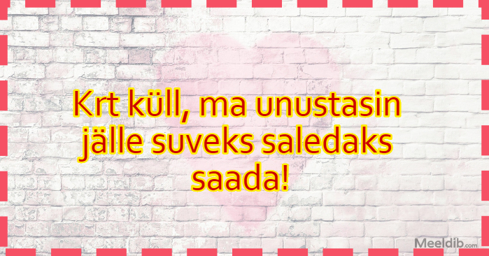 Krt küll, ma unustasin