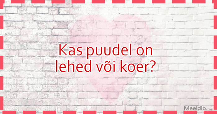 Kas puudel on lehed või koer?